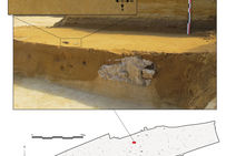 Les fossiles humains pré-néandertaliens lors de leur découverte et leur positionnement sur le plan général de fouille.Paléolithique moyen ancien (-200 000 ans) Tourville-la-Rivière (Seine-Maritime), 2010.