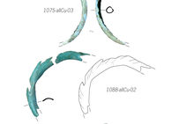 Trois éléments de parure : un fragment de bracelet, jonc creux en alliage cuivreux, deux fragments non jointifs d’un même bracelet avec décor incisé sur le flanc du jonc en alliage cuivreux et une petite perle pleine annulaire en alliage cuivreux.  Tanéria, Verdun-sur-Garonne (Tarn-et-Garonne), 2017.