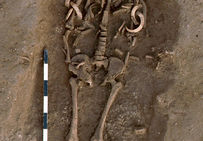 Sépulture 197.  L’individu de sexe masculin était allongé sur le dos et portait autour des deux humérus des canines de sanglier disposés de façon à constituer un bracelet.  La Porte aux Bergers, Vignely (Seine-et-Marne), 1993/1994.