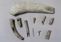 Objets en os et en bois de cerf  Eléments divers : pièces de harnachement décorées, épingles à tête vasiforme en os, outils, fourche (?) à deux pics.  Le Gros Buisson, Villiers-sur-Seine (Seine-et-Marne), 2005